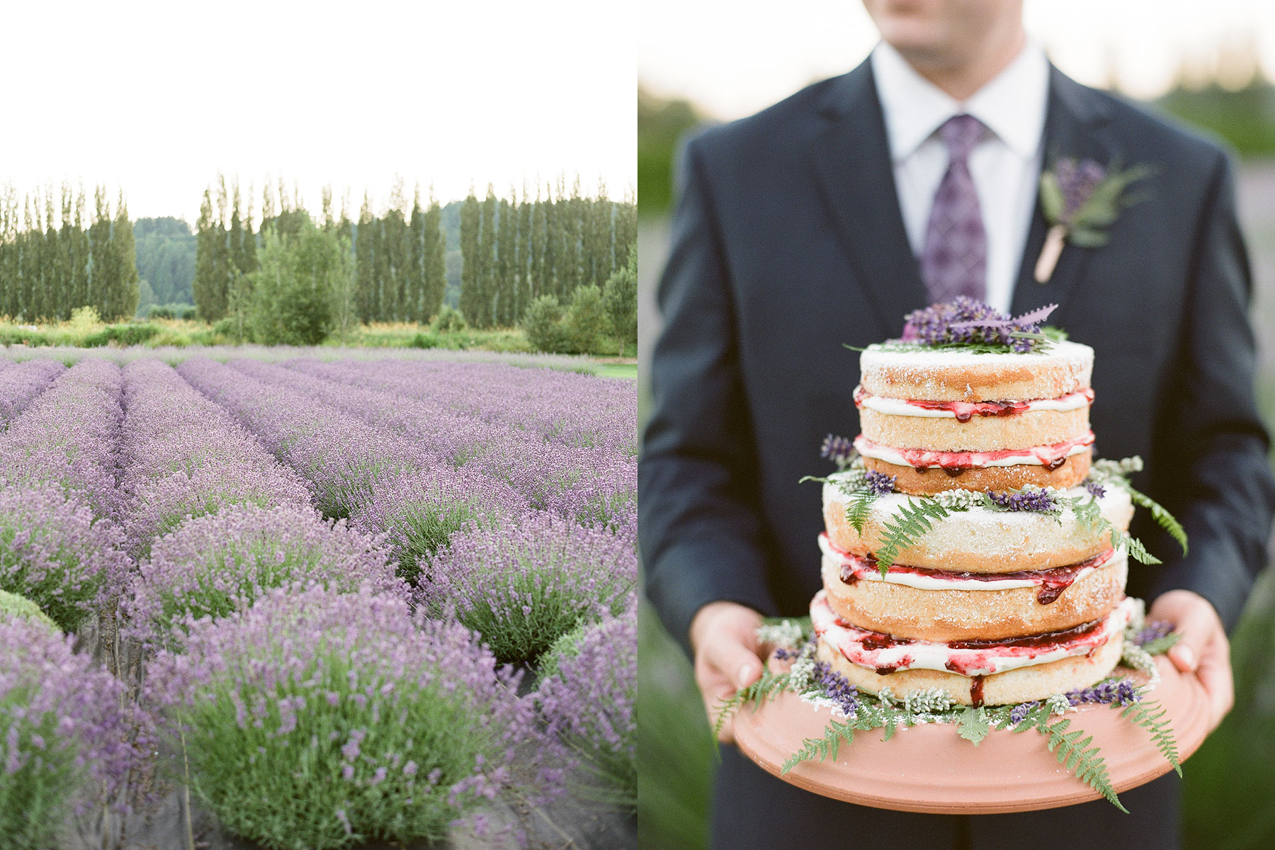 Lavender_portfolio_6